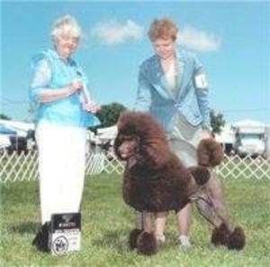 Meet your Posher, Jaci